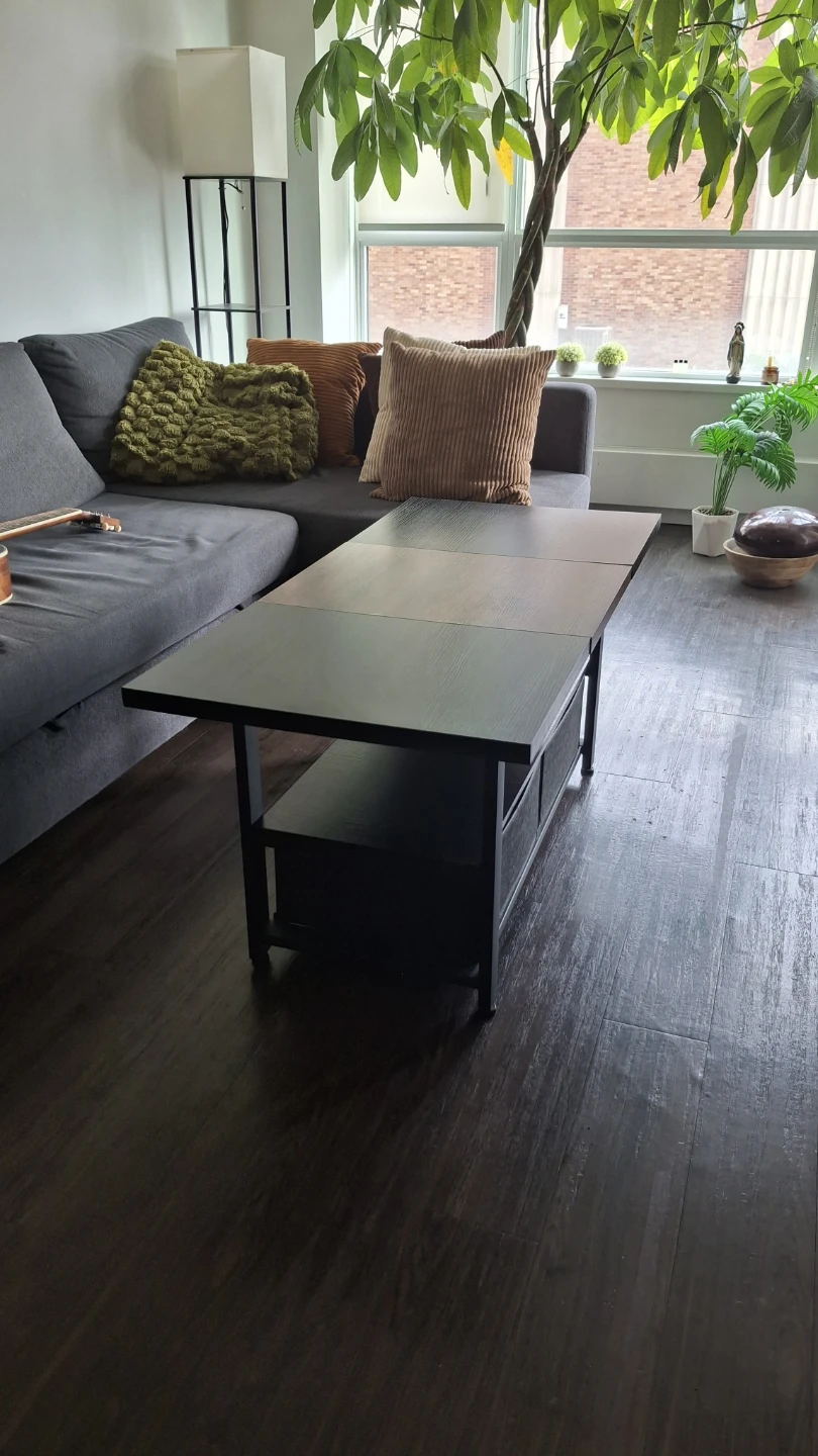 Lift Top Coffee Table with Storage - photo 2