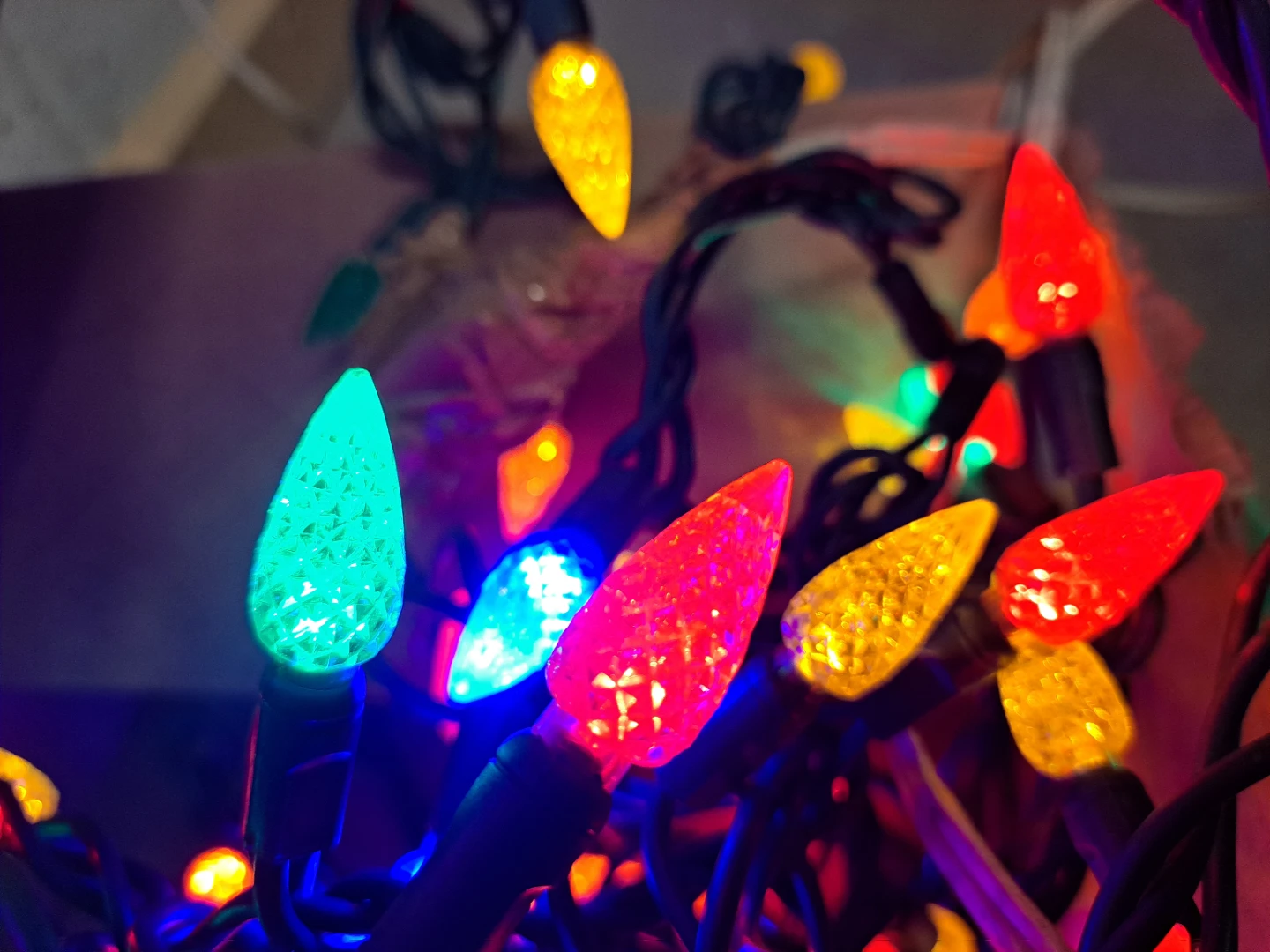 Backyard or Christmas Lights
