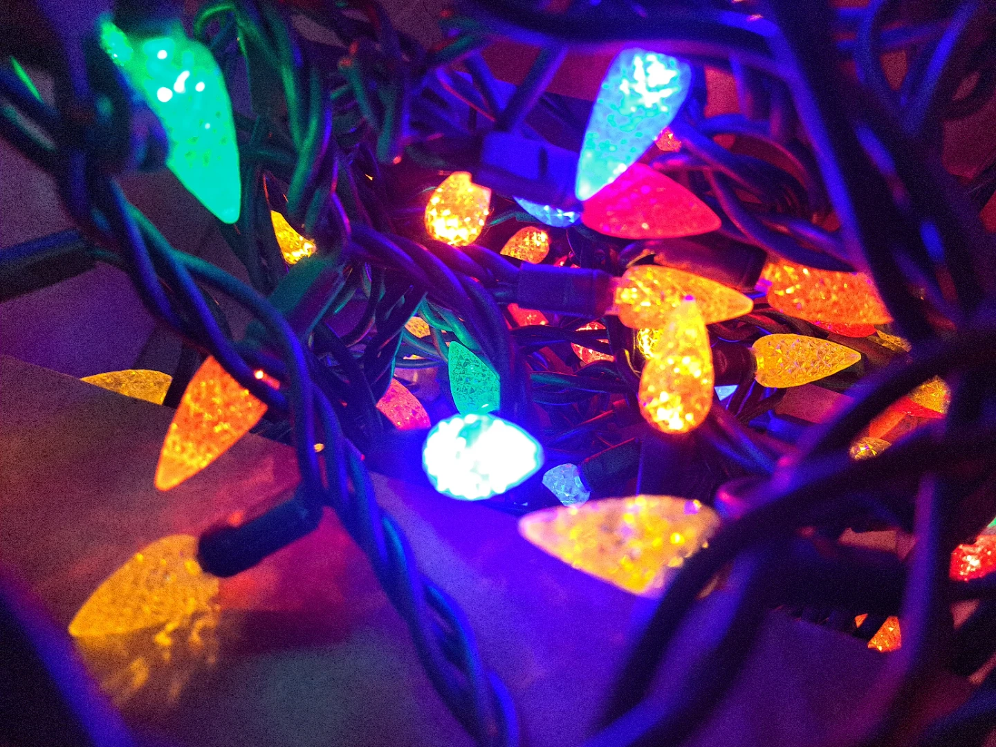 Backyard or Christmas Lights - photo 2