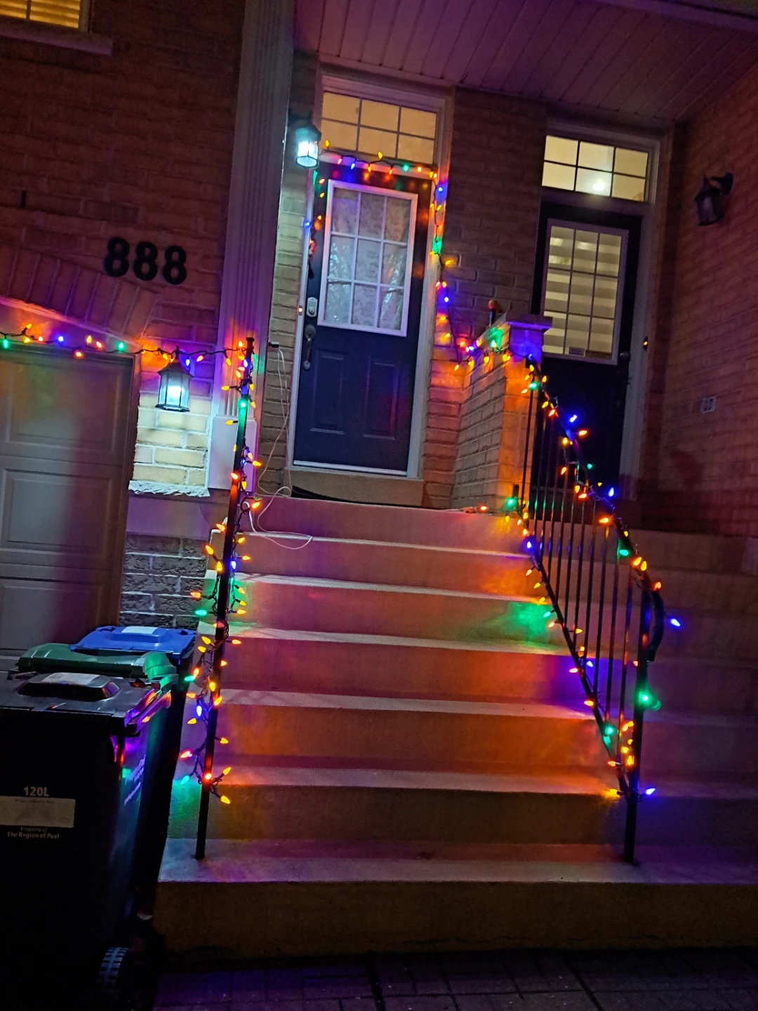 Backyard or Christmas Lights - photo 3