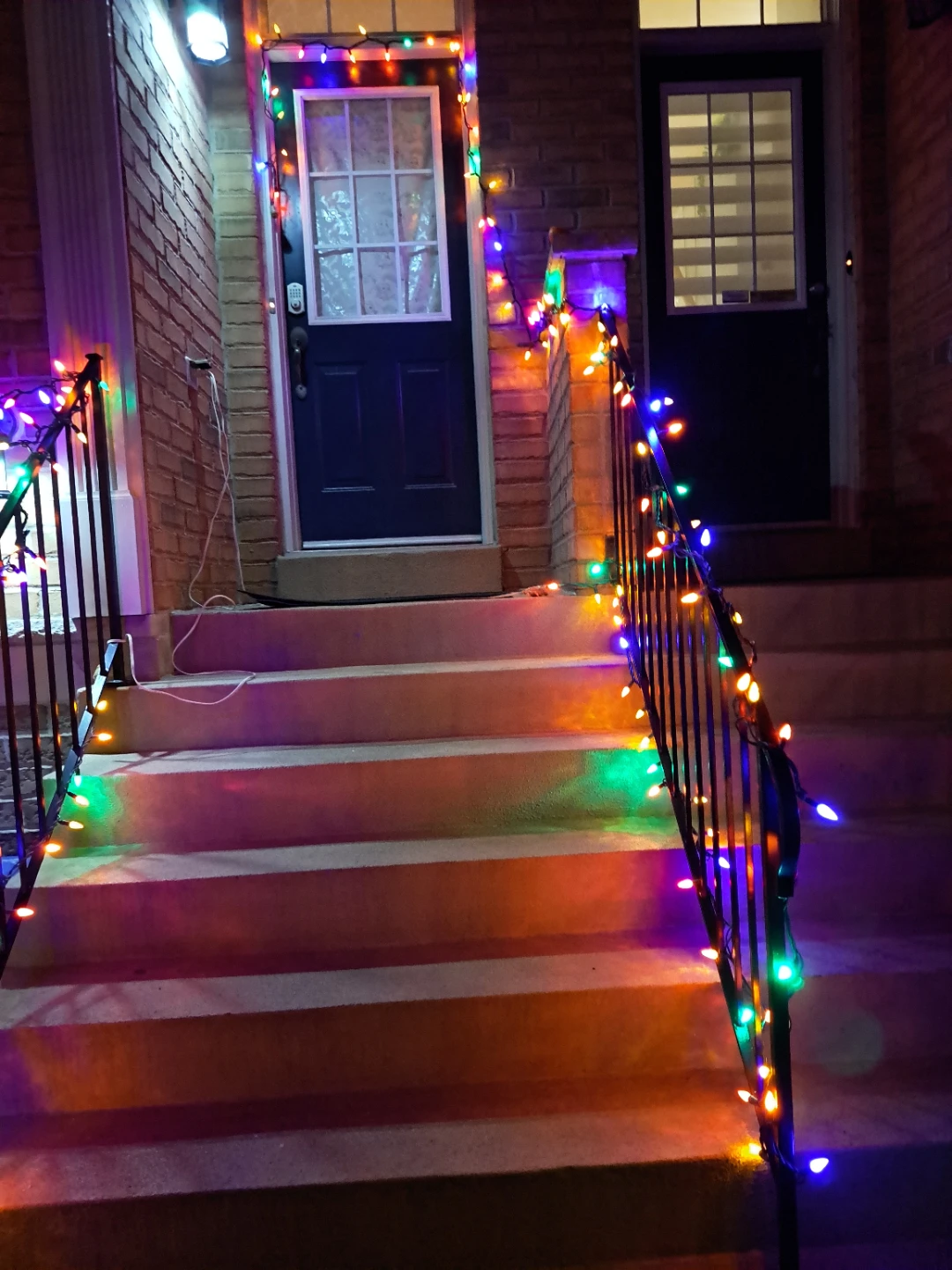 Backyard or Christmas Lights - photo 4