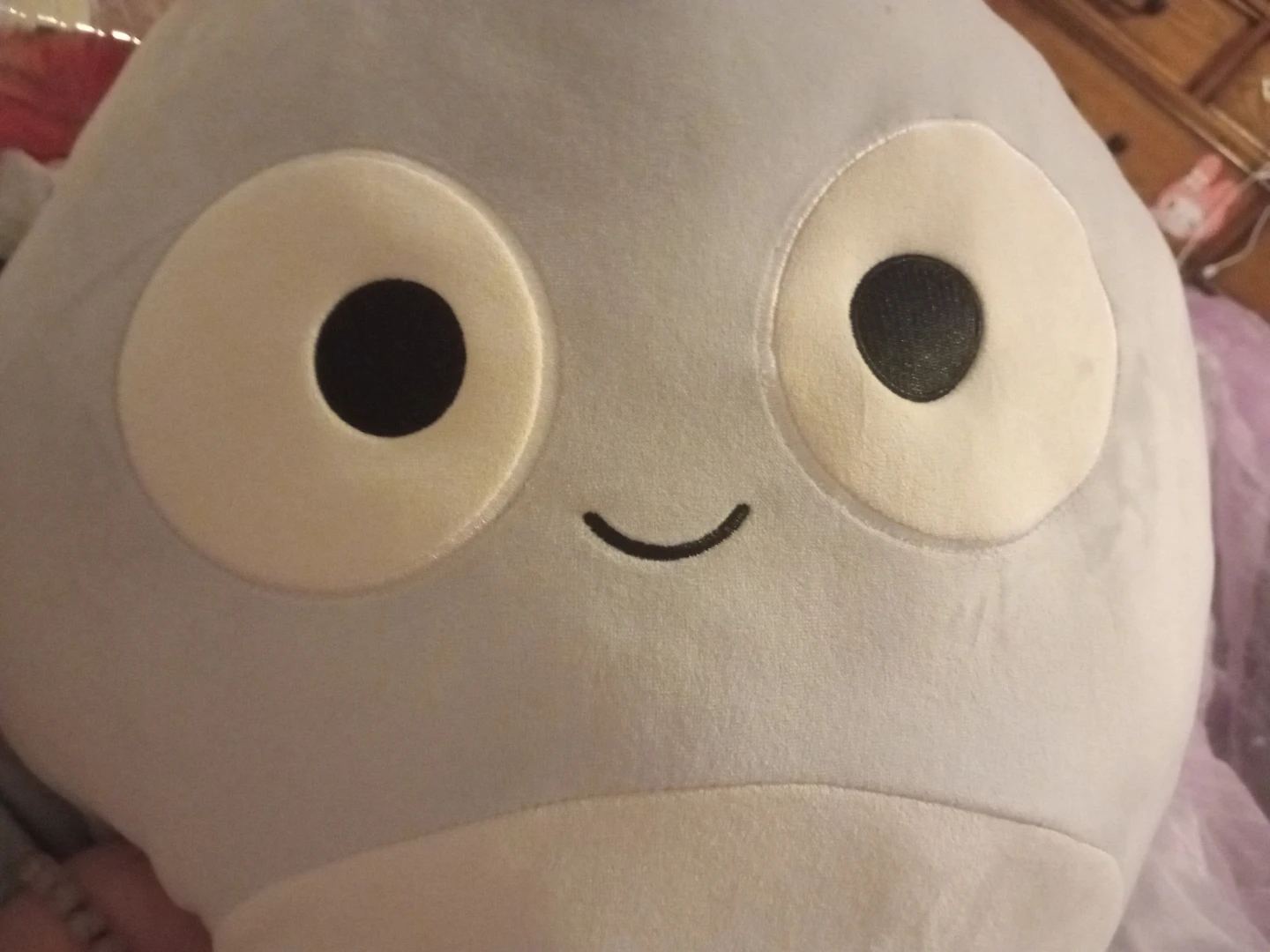 Squishmallow Plush Toy