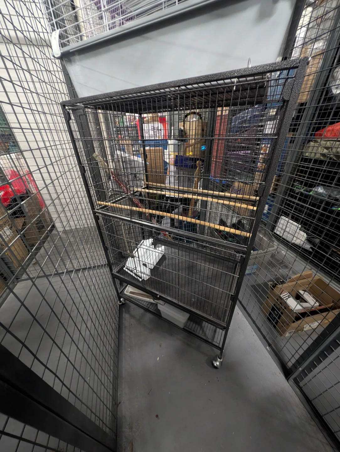 Bird Cage
