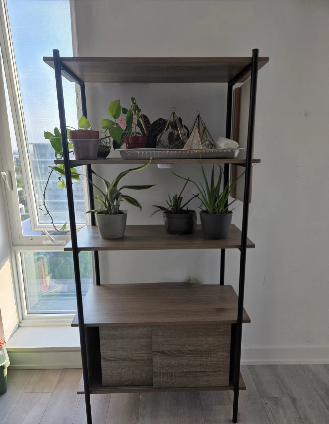 Tall Wooden Bookshelf with Black Frame