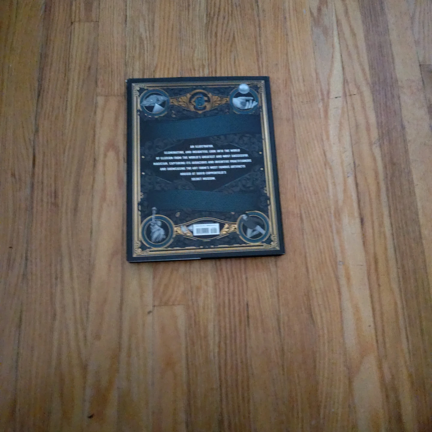David Copperfield's History of Magic Book - photo 2