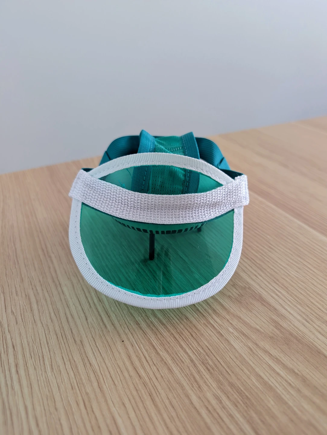 Teal Dog Visor – Adjustable