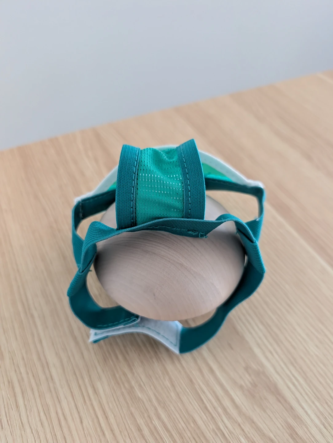 Teal Dog Visor – Adjustable - photo 3