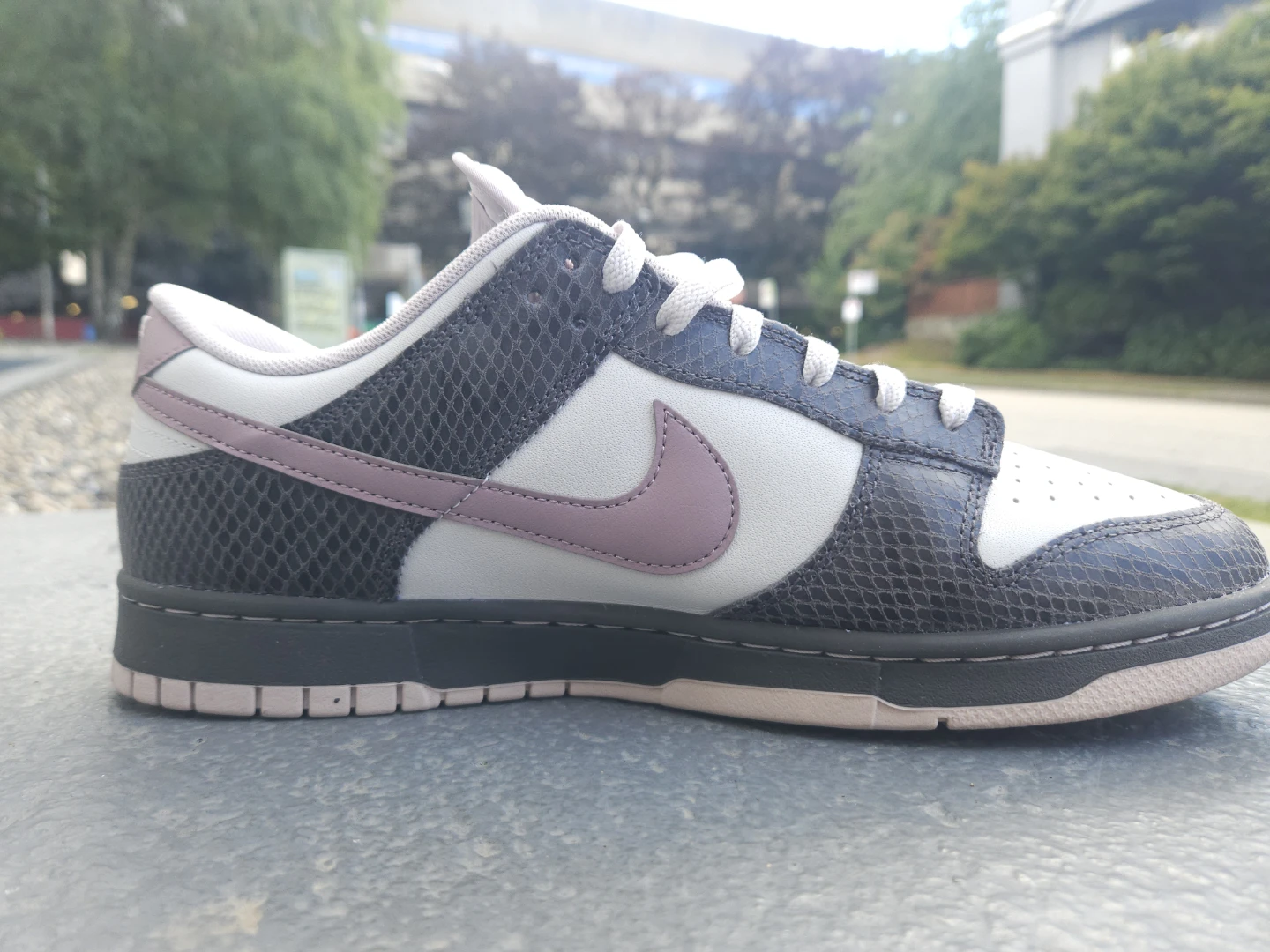 Nike Dunk Low Women's Shoes