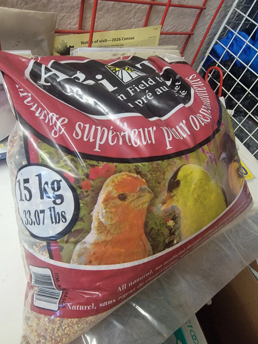 Bird Feeder and Seeds - photo 3