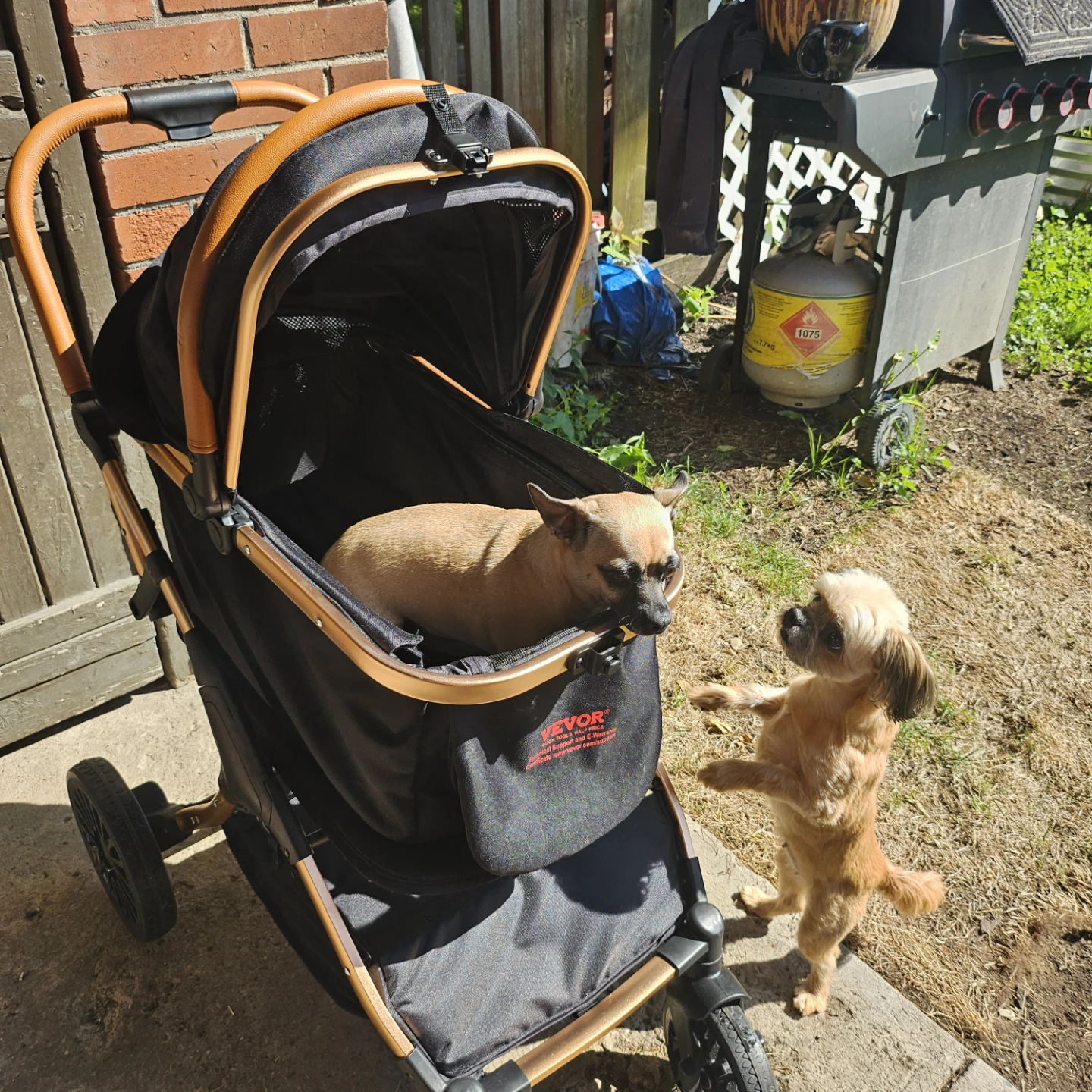 Vevor Pet Stroller - photo 2