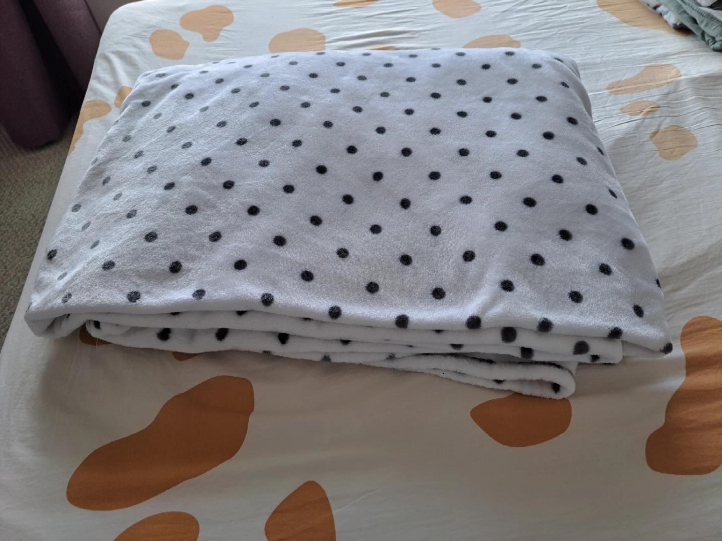 Kate Spade King Size Polka Dot Blanket