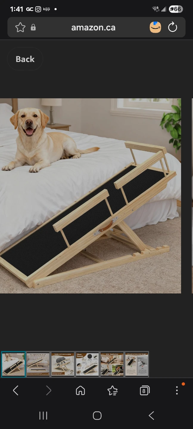 55" Dog Ramp with side rails brand new