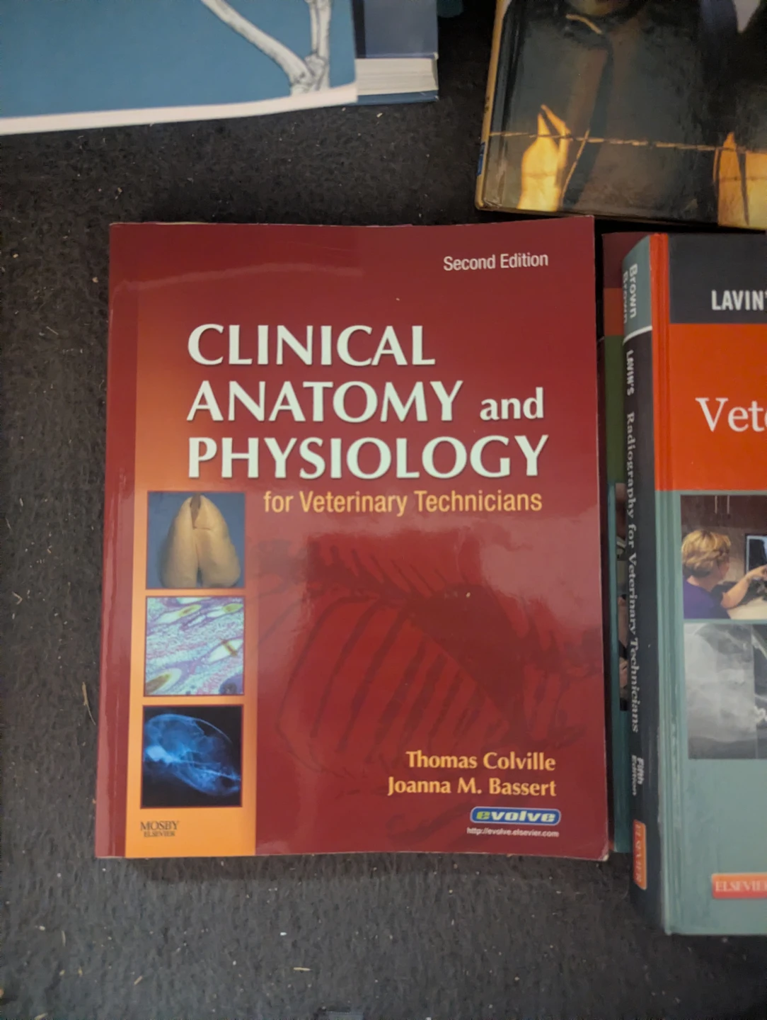 RVT Textbooks - photo 5