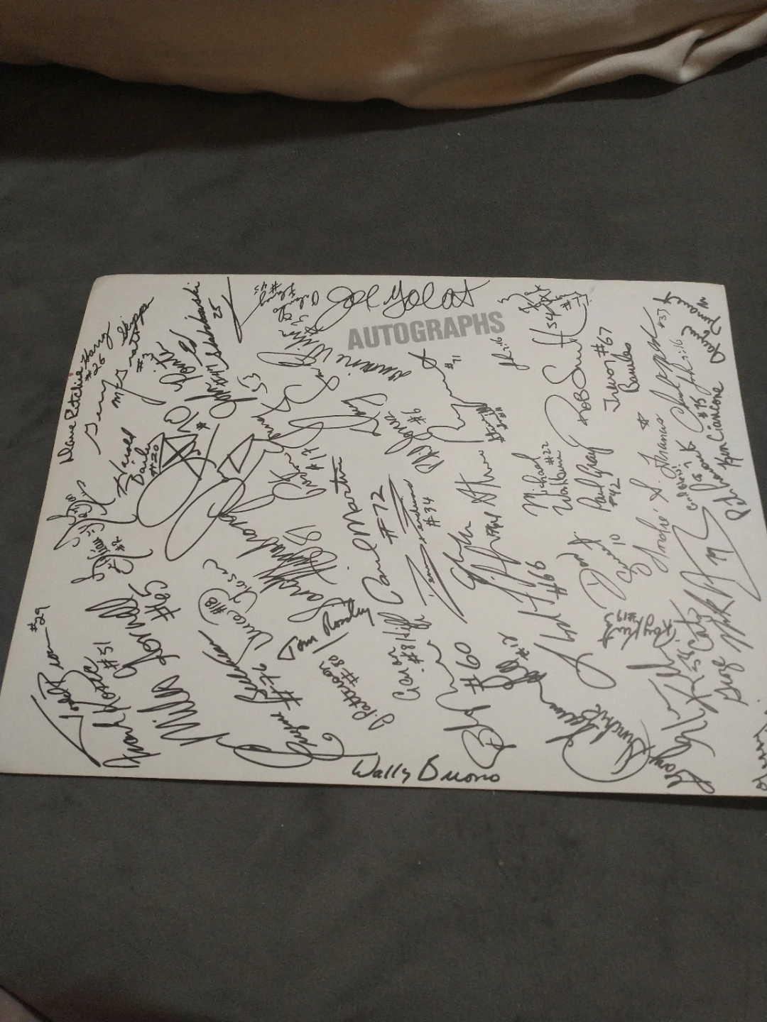 CFL Montreal Concordes 1984 Team Picture w/ Mock Autographs - photo 4