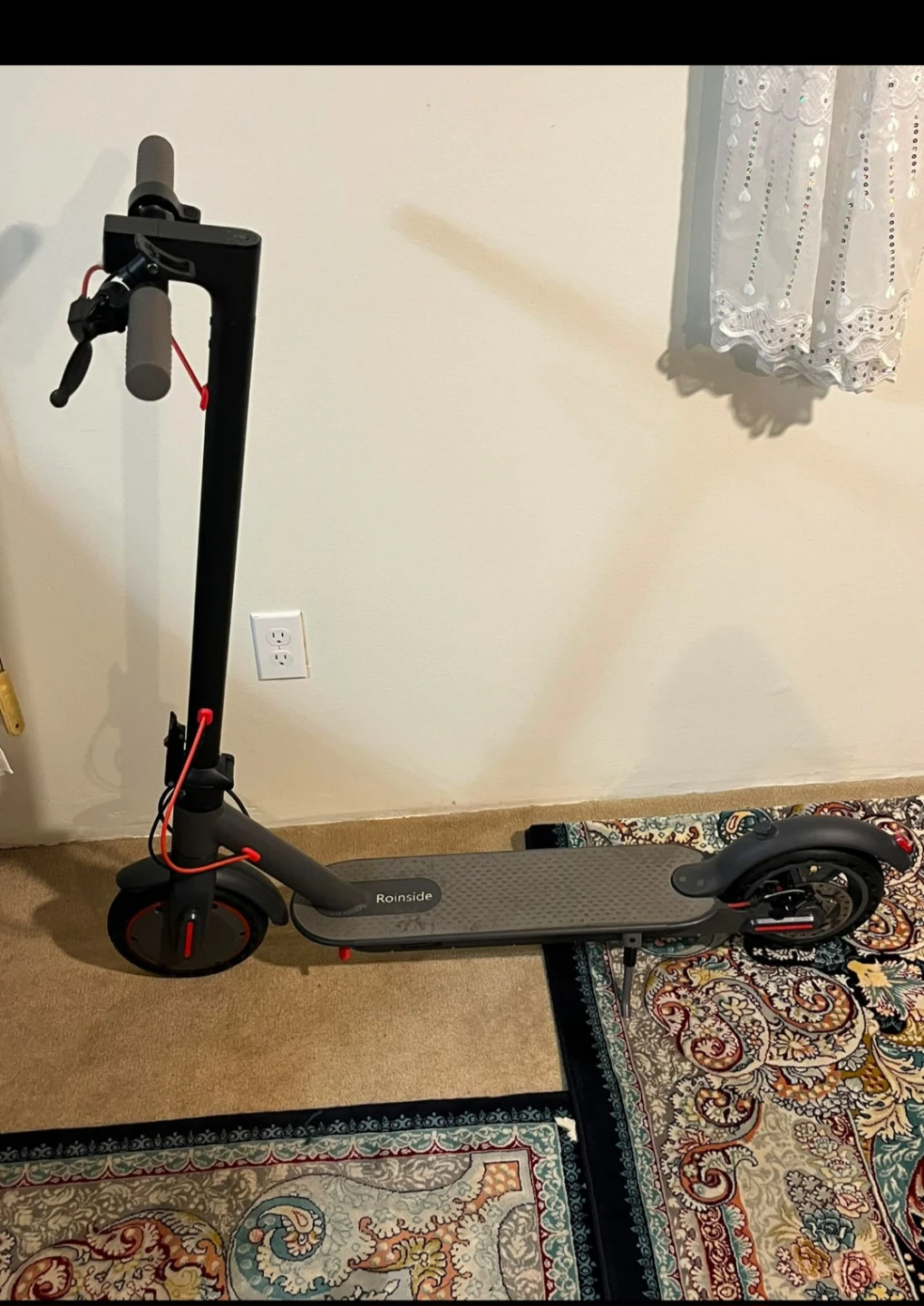 Roinside Electric Scooter