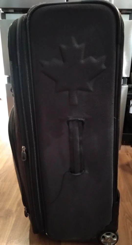 Luggage carry on and medium size - photo 3