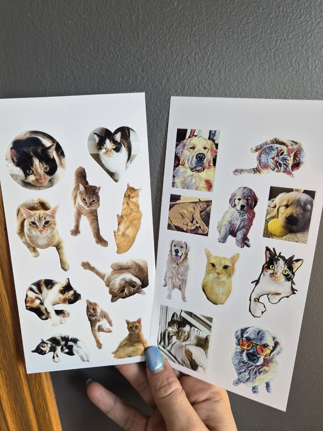 🐾❤️Custom Pet Photo Stickers ❤️🐾