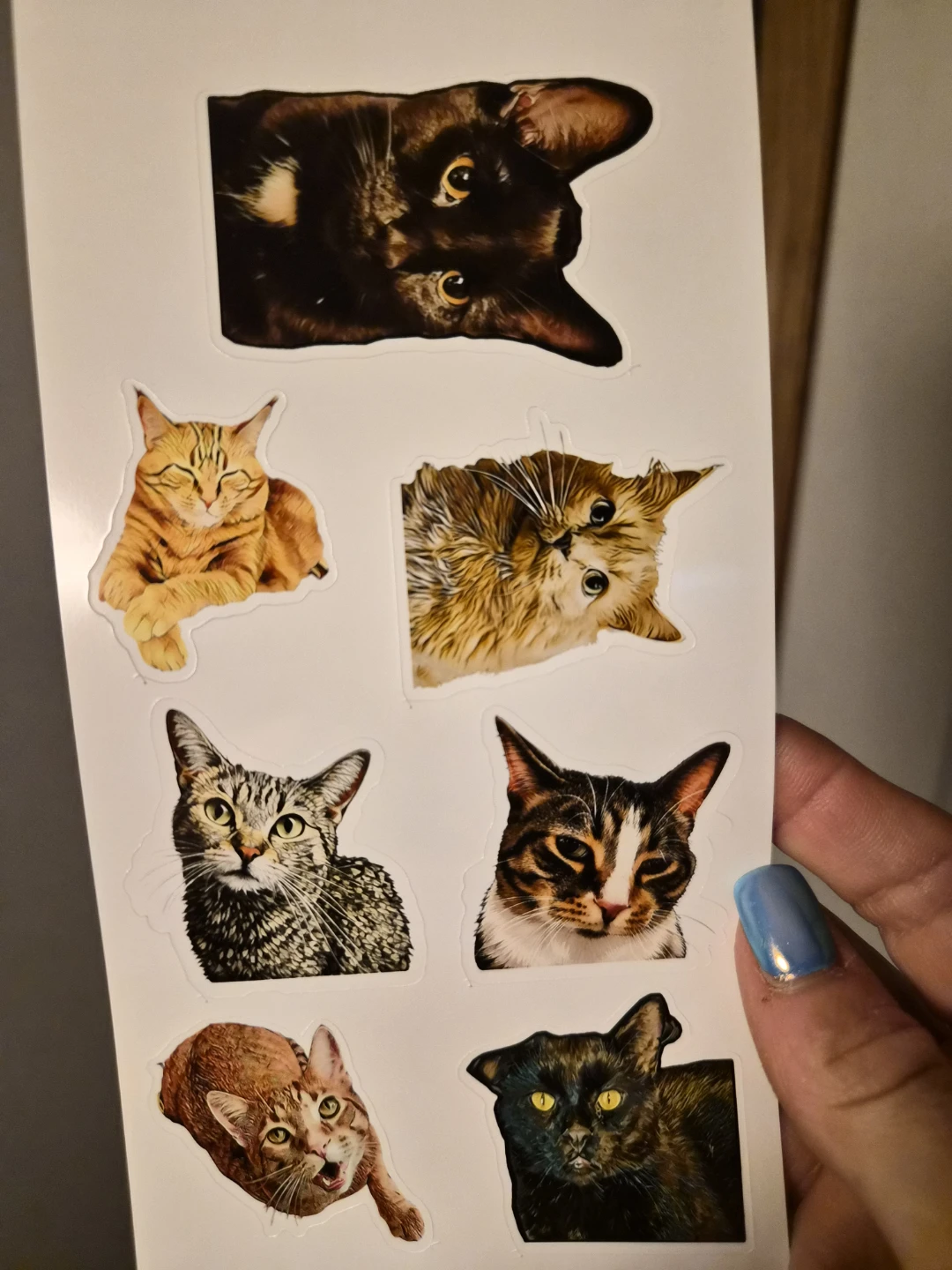 🐾❤️Custom Pet Photo Stickers ❤️🐾 - photo 3