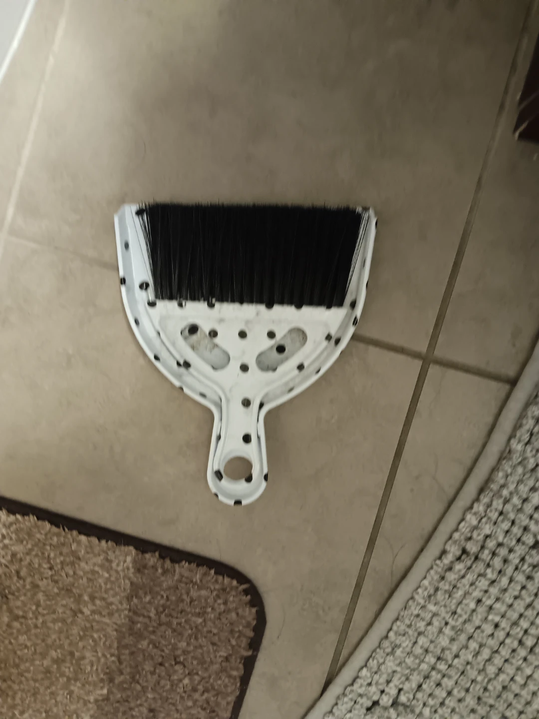 Moving Out sale-White Dustpan with Black Bristles