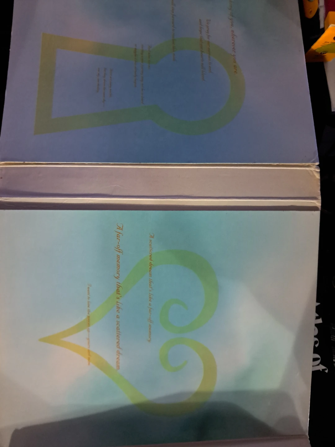 Kingdom Hearts II Limited Edition Strategy Guide - photo 4