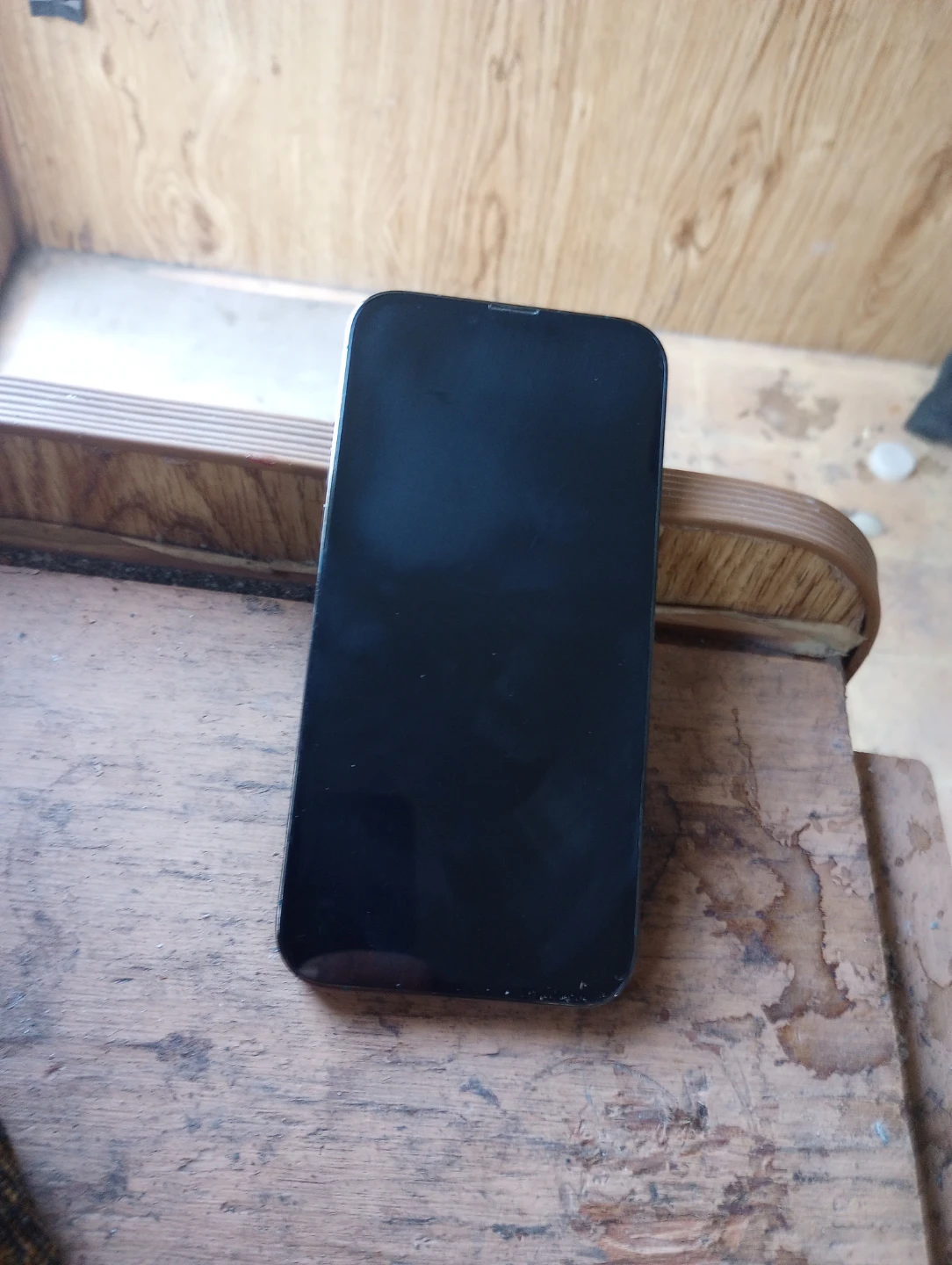 iPhone 13 promax - photo 2