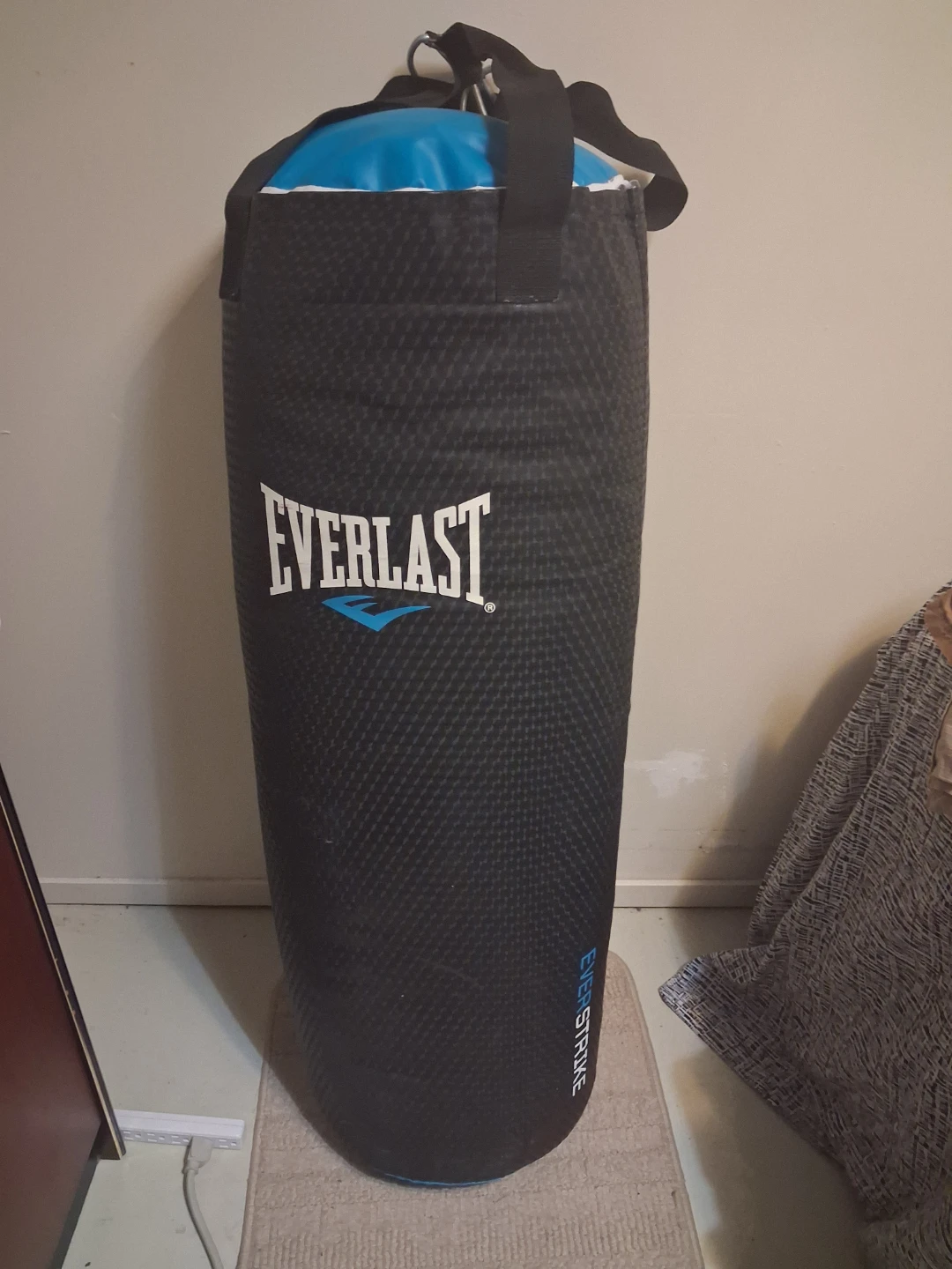 Everlast EverStrike Punching Bag - photo 3