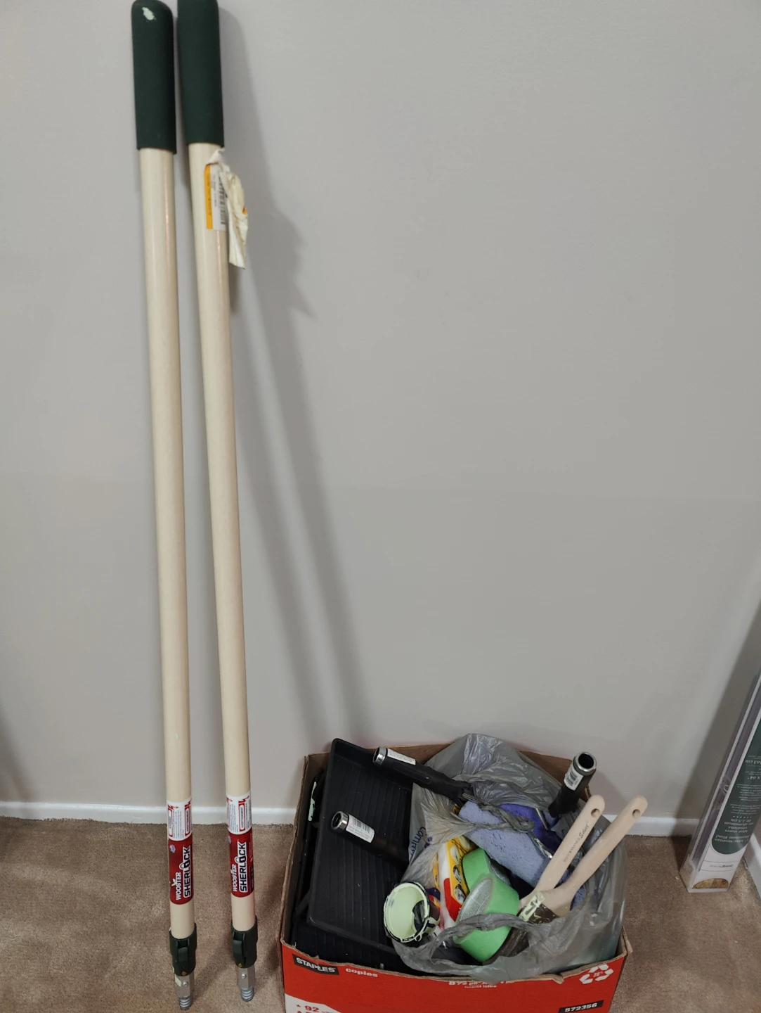 Paint Roller and Brush Set with Trays