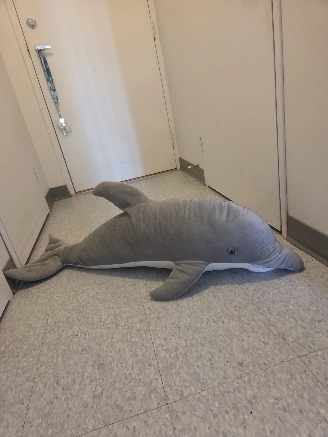 Large Grey Dolphin Plush Toy