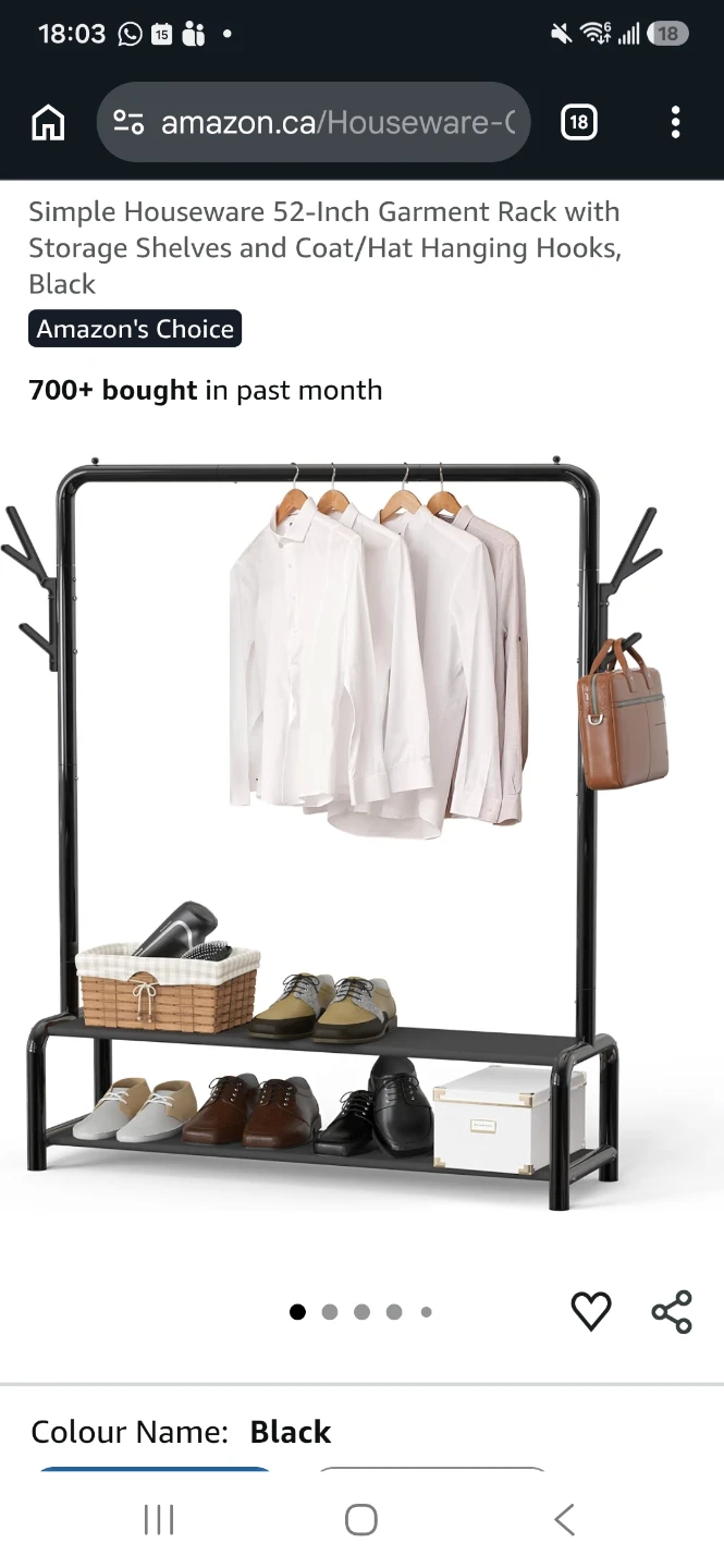 Simple Houseware Garment Rack with Shelves and Hooks