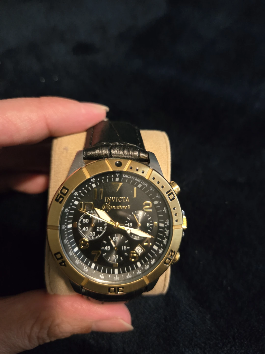 Invicta Signature Chronograph Watch