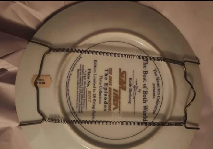 The Hamilton Collection Star Trek Collector Plate - photo 2
