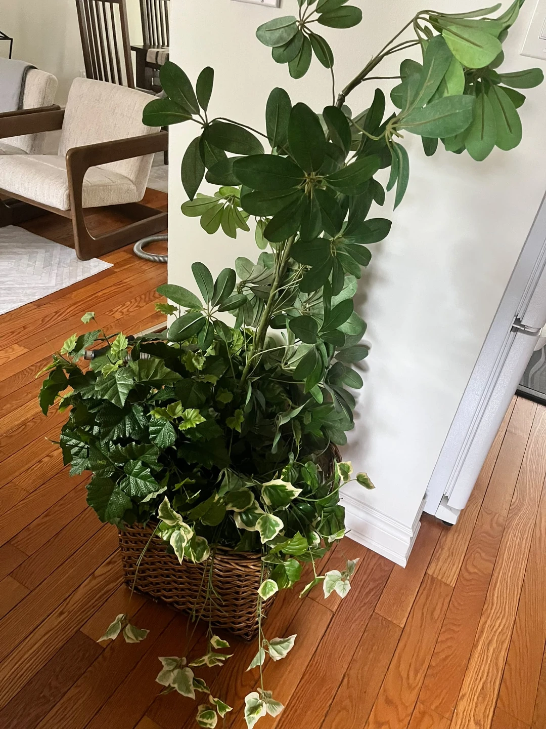 Artificial Plant in Wicker Basket - photo 2