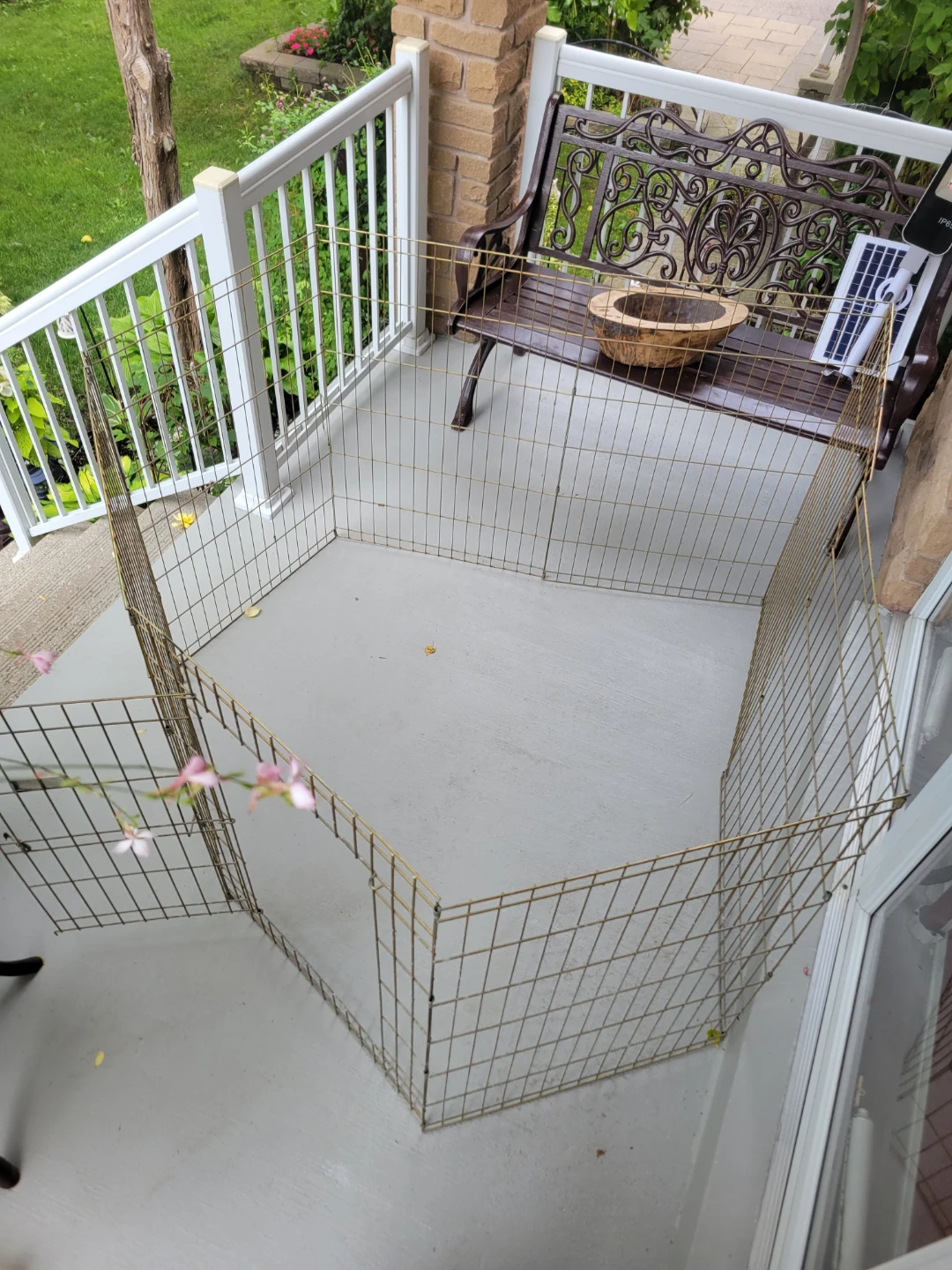 Gold Metal Pet Playpen / Exercise Pen 8 panels  24x36"