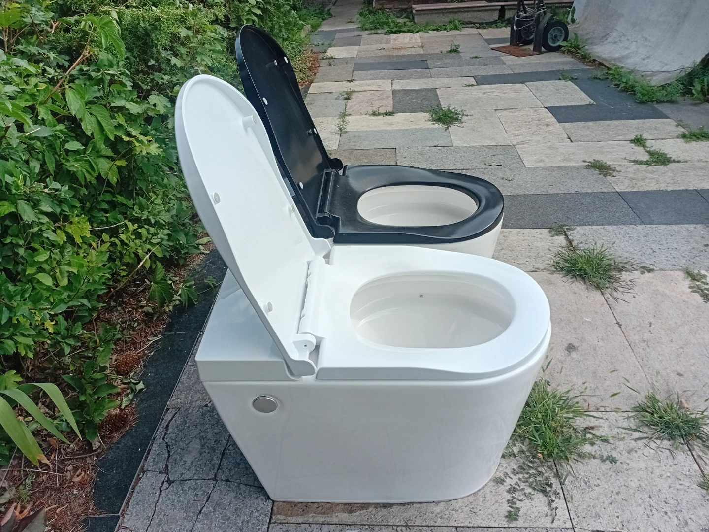 Toilet Seats - White and Black - photo 4