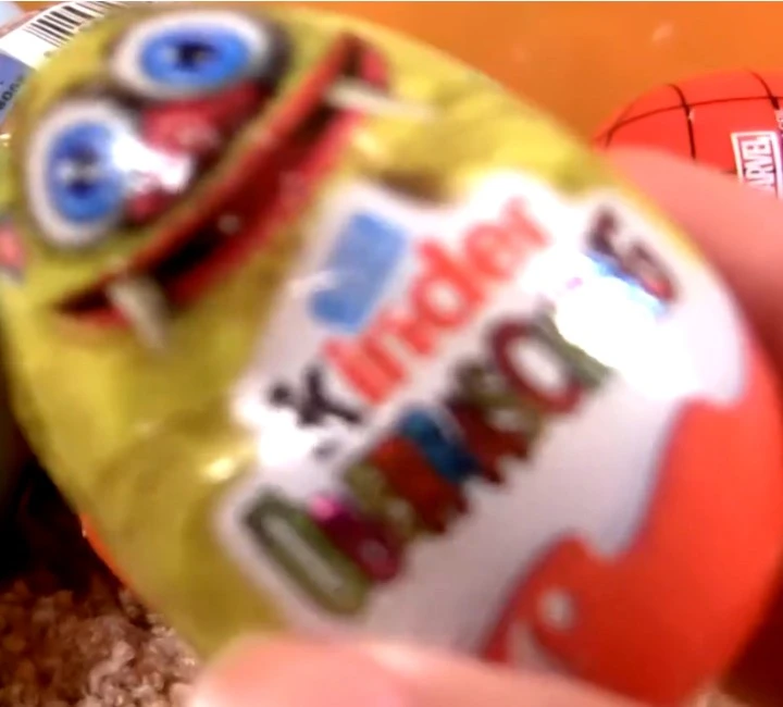 Kinder Surprise Egg Toy