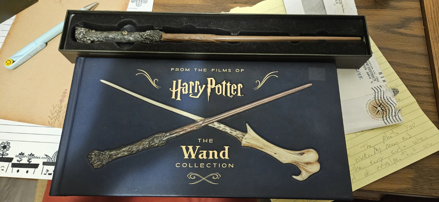 Harry Potter Wand and Wand Book