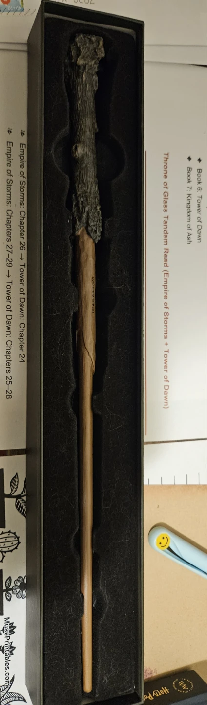 Harry Potter Wand and Wand Book - photo 2
