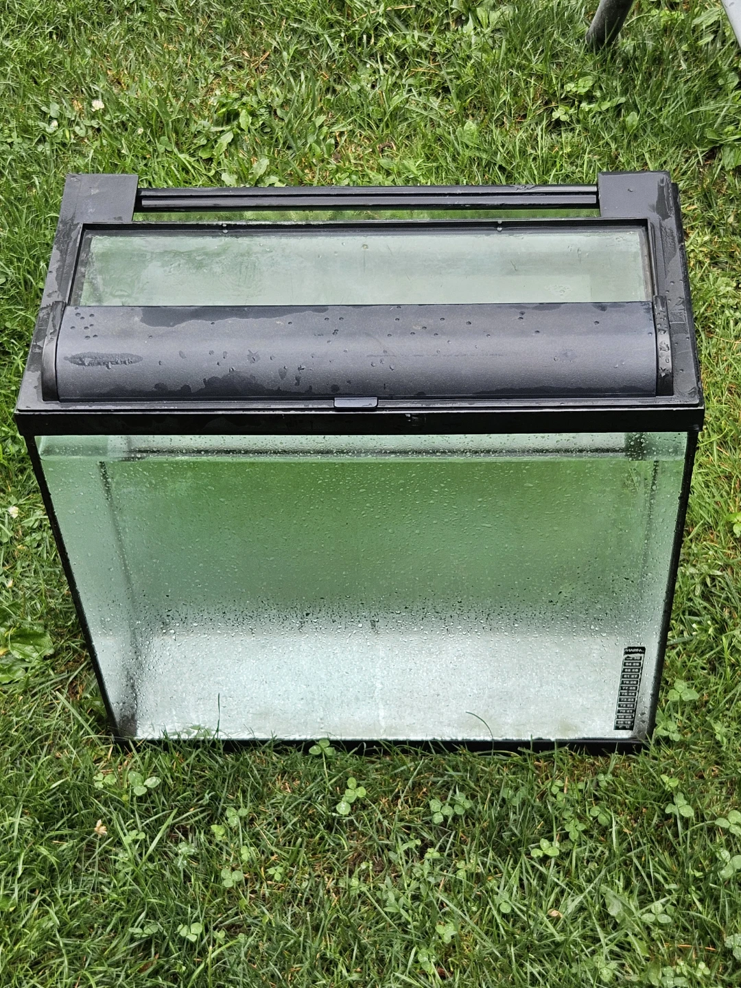 16 gallon Aquarium Tank