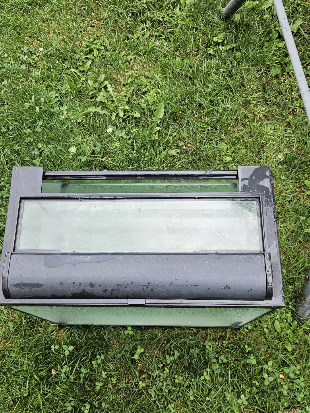 16 gallon Aquarium Tank - photo 3