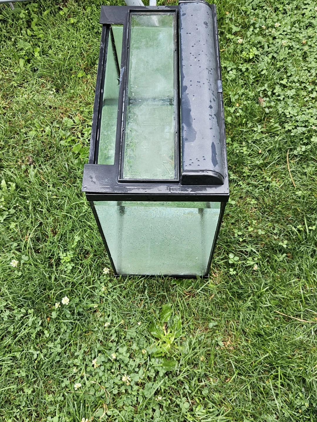 16 gallon Aquarium Tank - photo 4