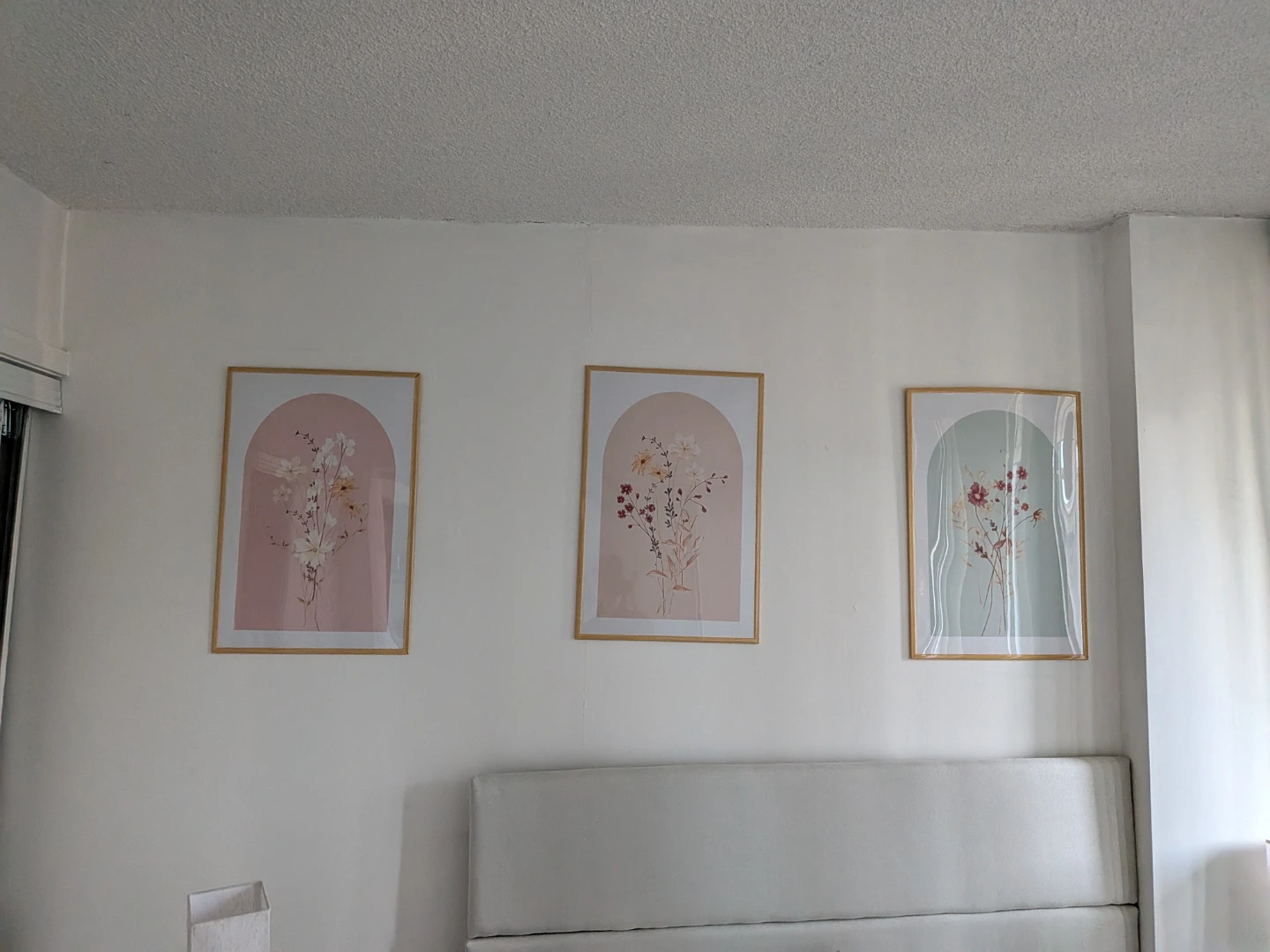 Set of 3 Framed Botanical Prints