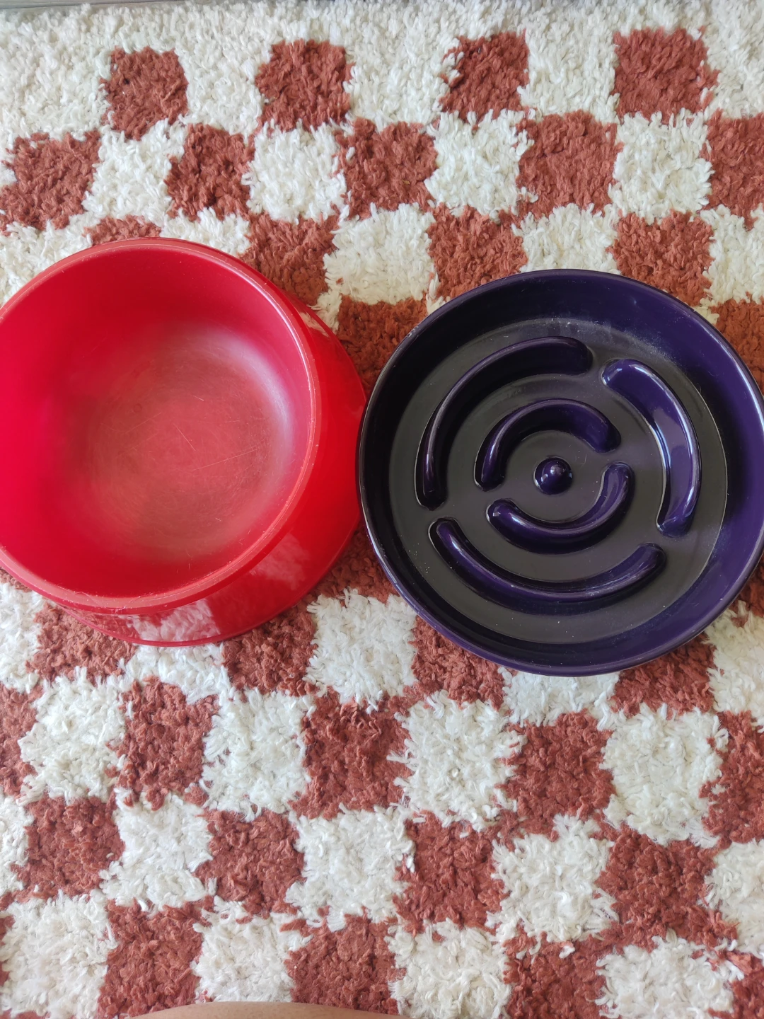 FREE dog bowls
