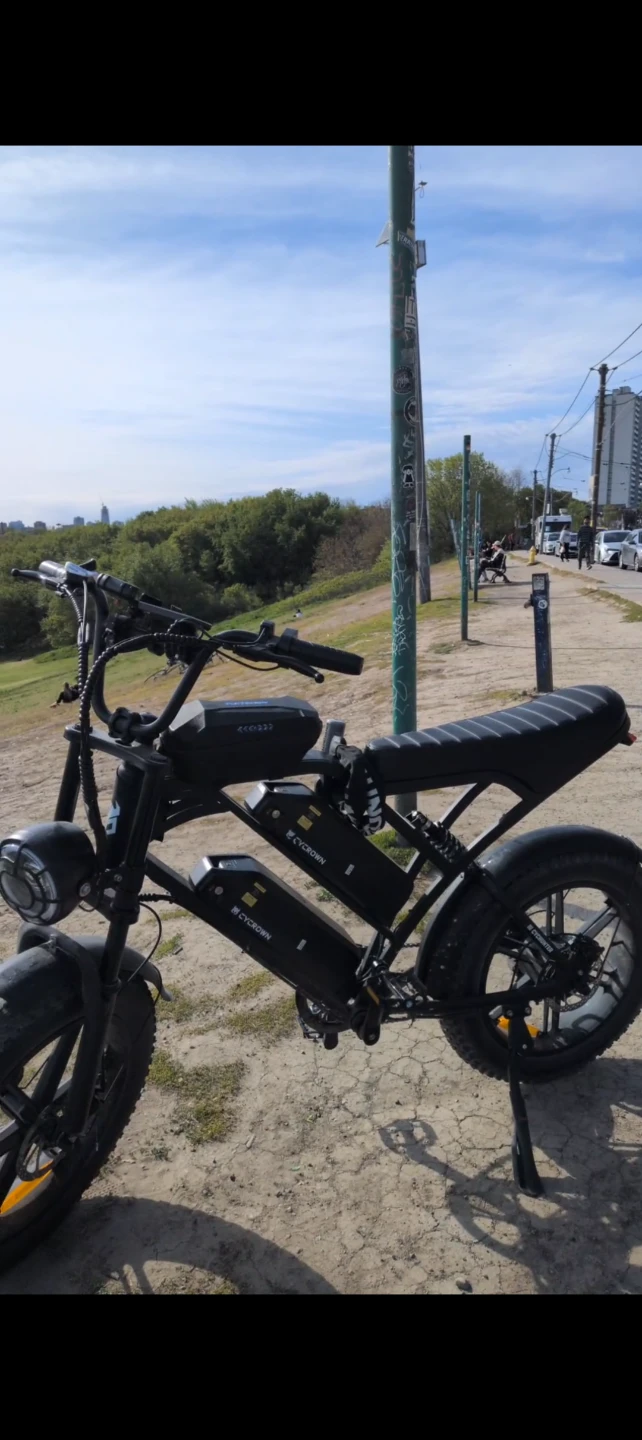 CycHunter 2.0 Moped-Style E-bike - photo 2
