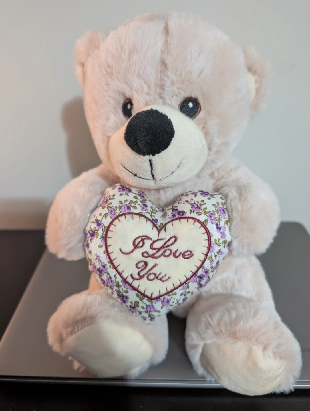 Plush Teddy Bear with "I Love You" Heart