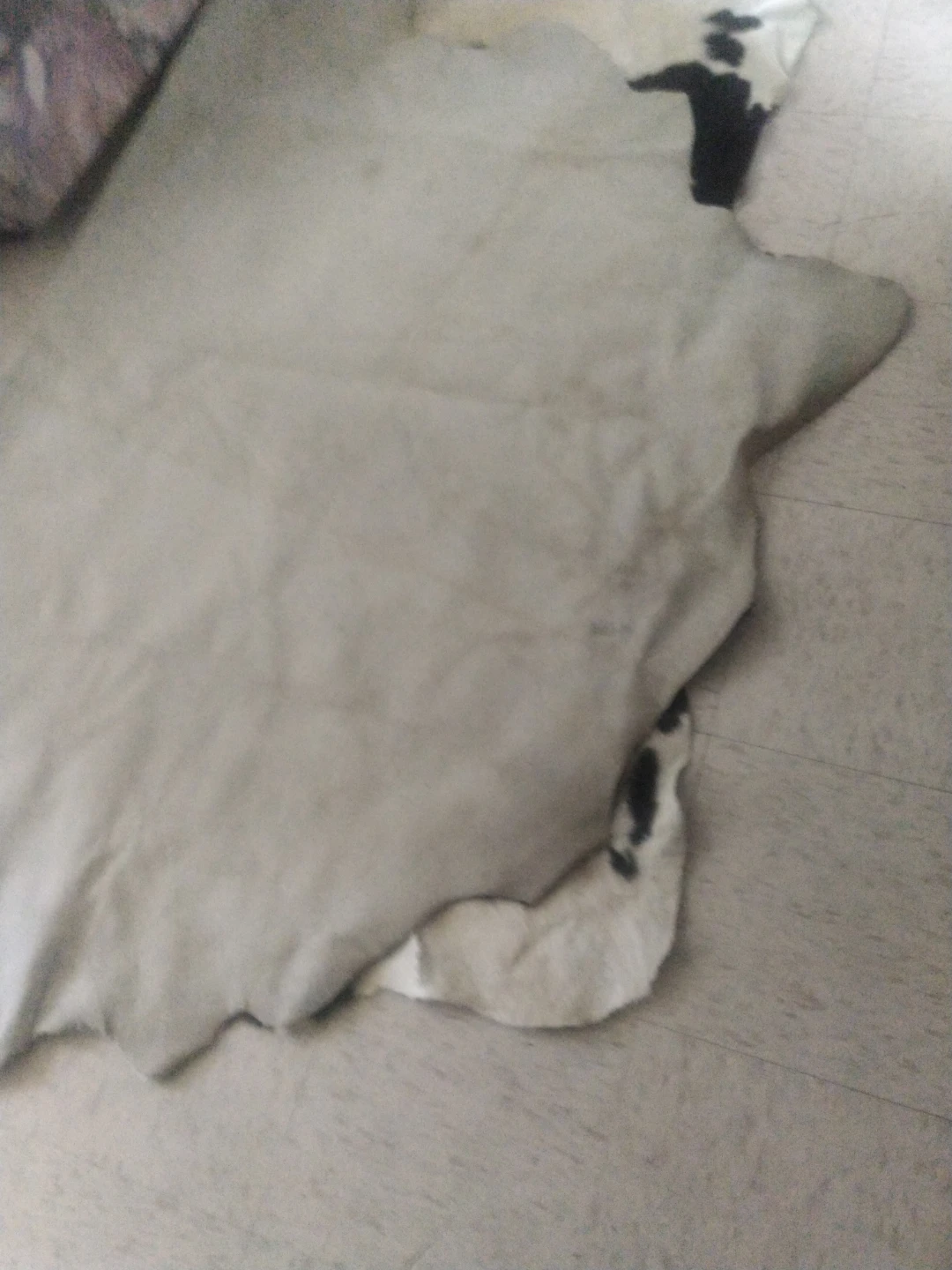 Cowhide Rug - photo 2