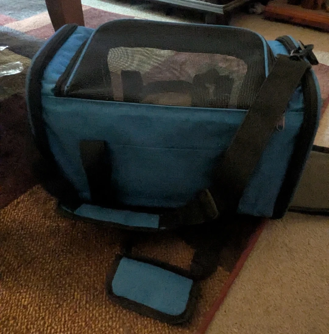 Blue Pet Carrier Bag
