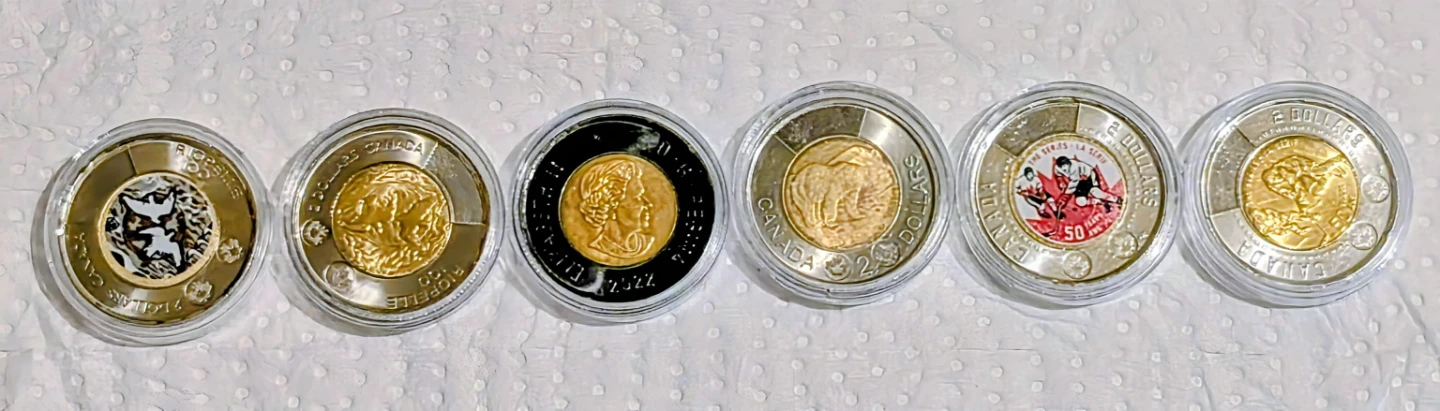 Commerative Twoonie Collection - 30 in Total - photo 3