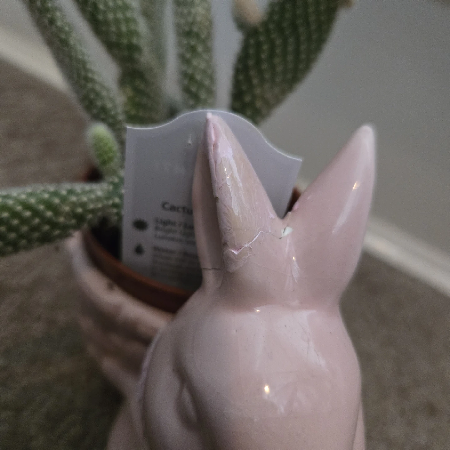 Small Pink Bunny Planter with Bunny Cactus - photo 4
