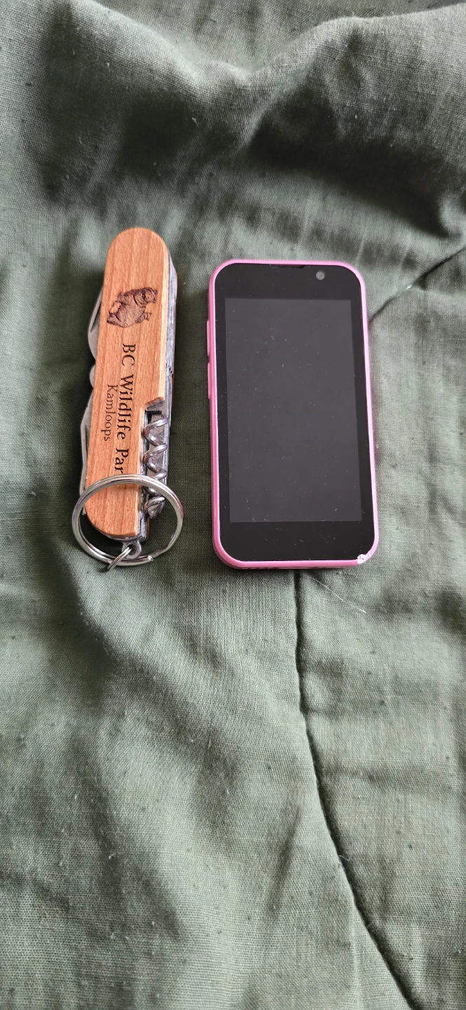 BRAND NEW UNLOCKED MINI PHONE $100 - photo 5