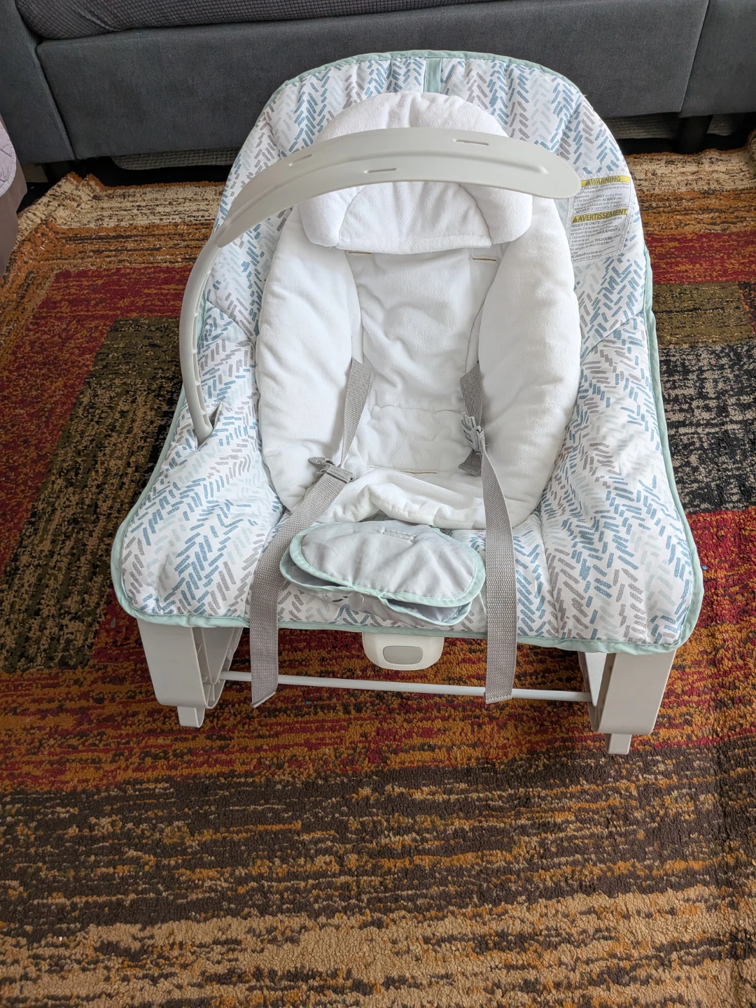 Fisher-Price Infant Rocker Bouncer